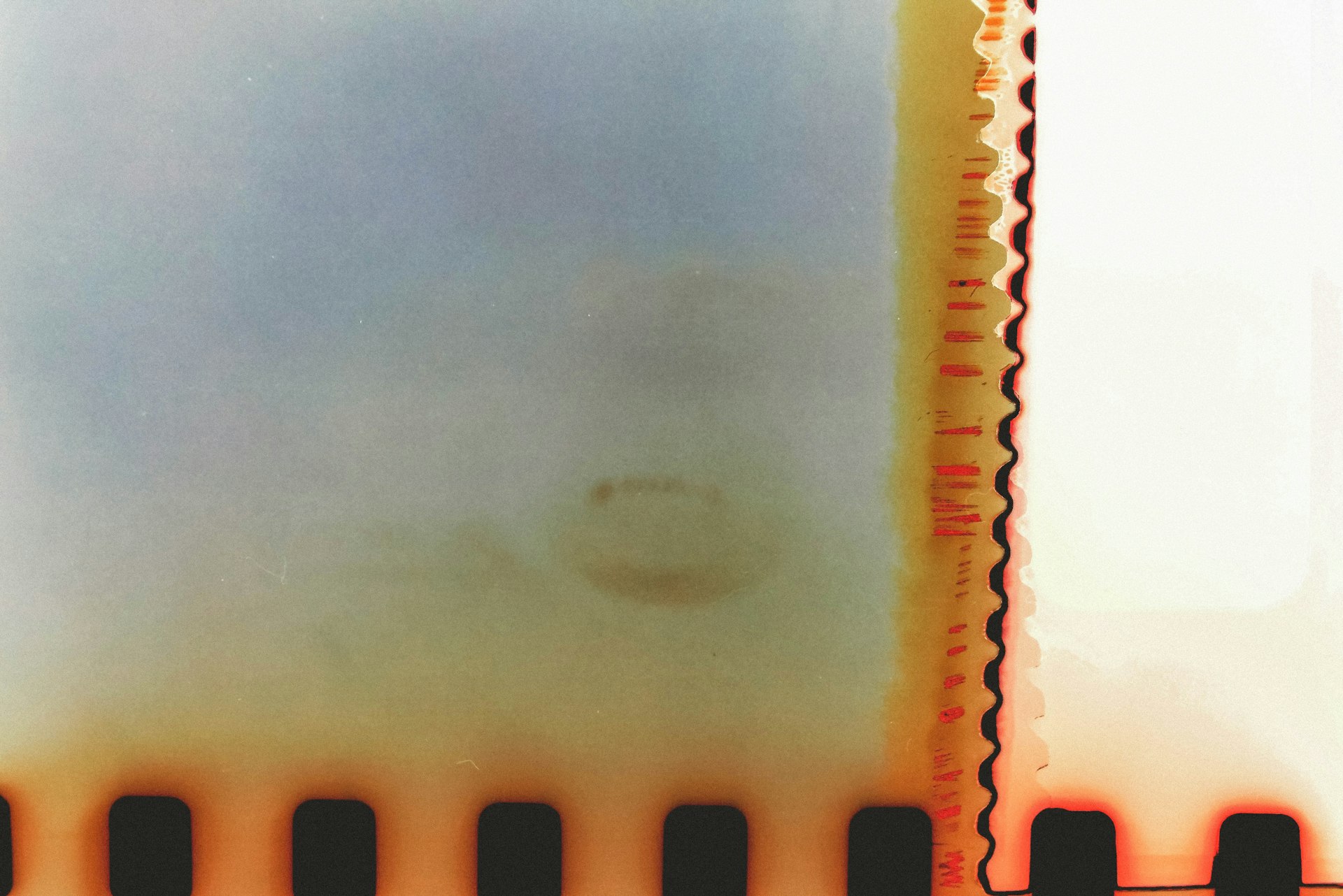 Microfluidic Chips: The Future of Rapid and Affordable COVID-19 Testing