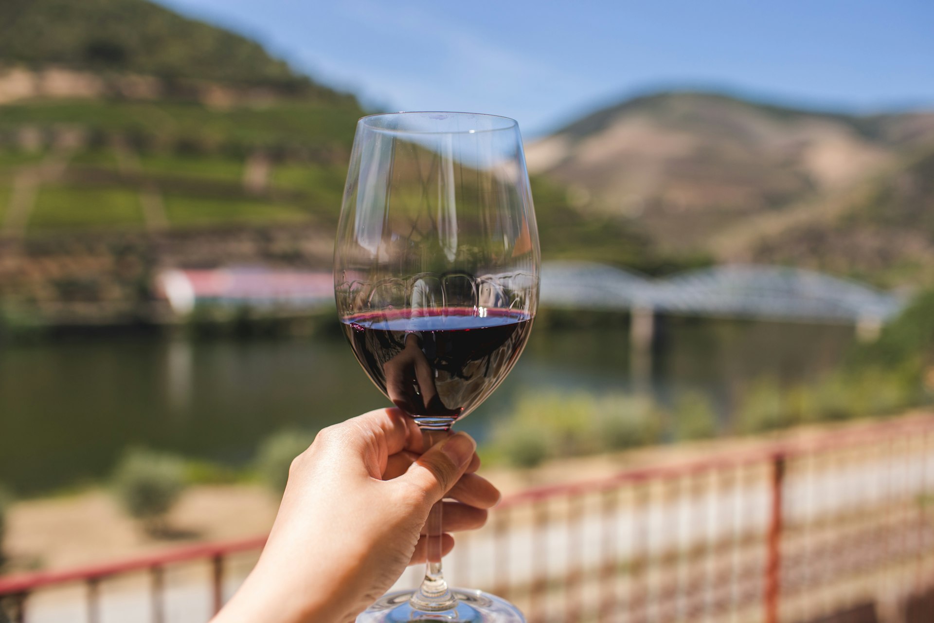 Unforgettable Travel Experiences for Food and Wine Lovers: Your Guide to the World's Best Culinary Journeys