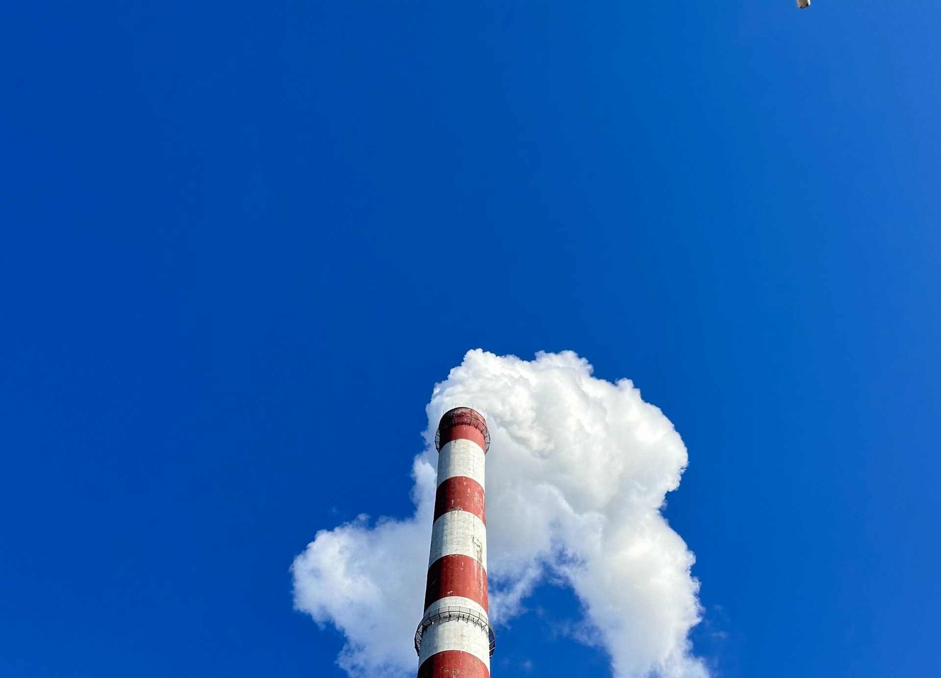 The Road Ahead: Navigating the Future of Carbon Neutral Investments