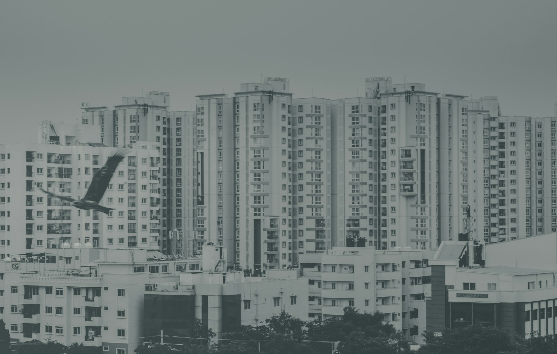 Understanding RSF in Real Estate: The Key to Accurate Commercial Leasing